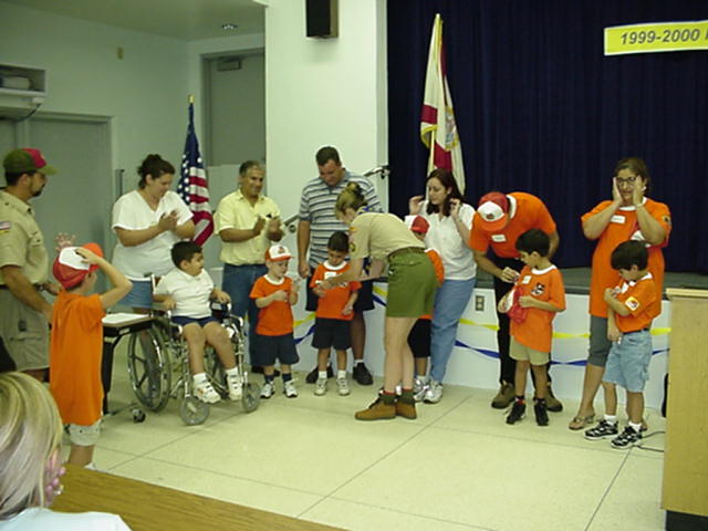 Tigers -2.jpg (50316 bytes)